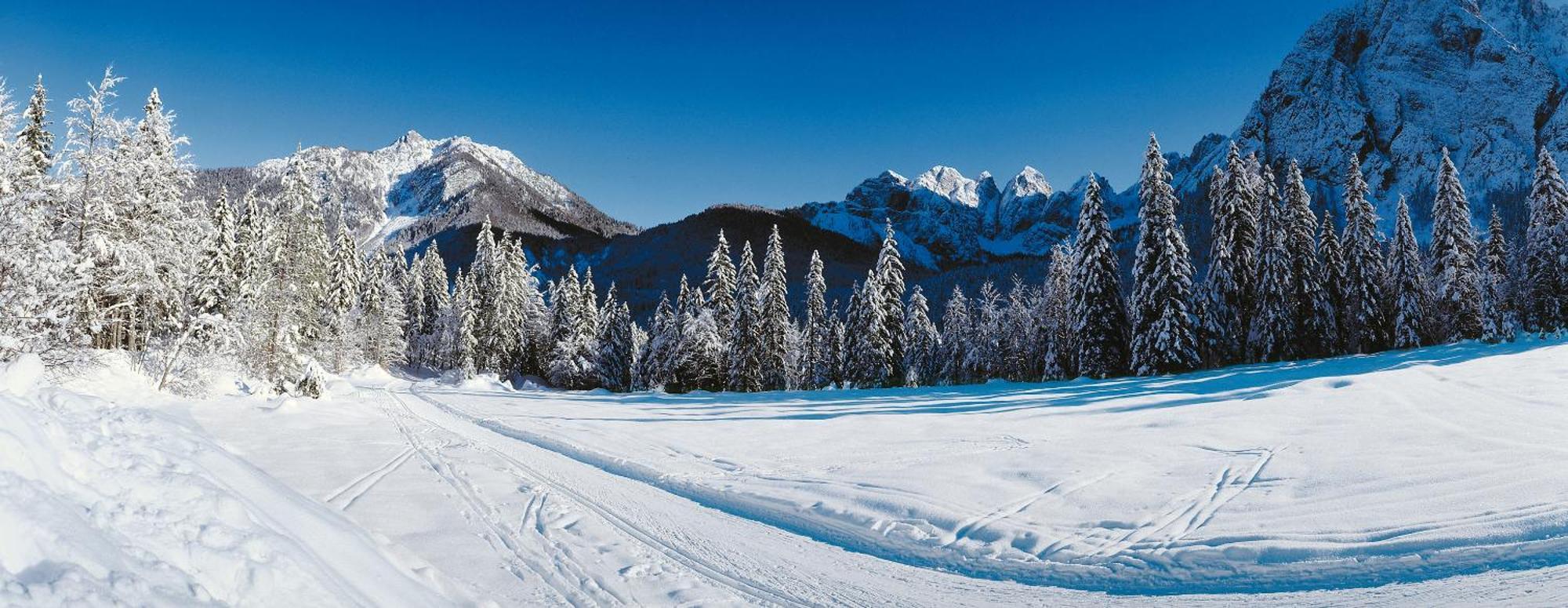 Al Casello Tarvisio Bagian luar foto